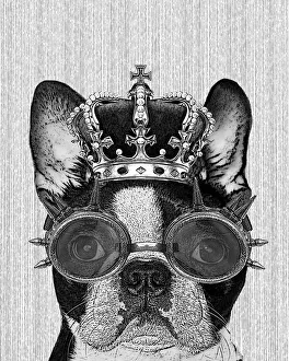 Hipster Boston Terrier Dog With Crown And Steampunk Goggles Hipster Boston Terrier Dog With Crown And Steampunk Goggles