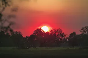 horizontal, landscape, no people, okavango delta, safari, sunrise, surface level horizontal, landscape, no people, okavango delta, safari, sunrise, surface level