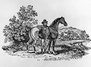 Horseman Horseman