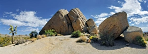 Huge granite rocks of Split Rocks with a Joshua Tree or Palm Tree Yucca -Yucca brevifolia-, Joshua Tree National Park Huge granite rocks of Split Rocks with a Joshua Tree or Palm Tree Yucca -Yucca brevifolia-, Joshua Tree National Park