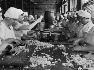 Meat Processing Factory Print, Chicago, 1930