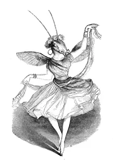 Fantasy Animal Illustrations Prints: Humanized animals illustrations: Ant dancer