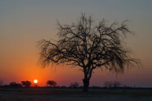 Hwange National Park, Zimbabwe Hwange National Park, Zimbabwe