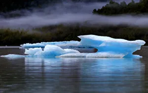 Icebergs having broken away from the Mendenhall glacier are floating toward the sea, Juneau, Alaska Icebergs having broken away from the Mendenhall glacier are floating toward the sea, Juneau, Alaska