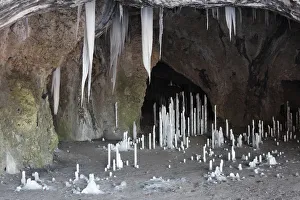 Icicles in Oswaldhoehle cave near Muggendorf, Wiesenttal Valley, Franconian Switzerland, Upper Franconia, Franconia Icicles in Oswaldhoehle cave near Muggendorf, Wiesenttal Valley, Franconian Switzerland, Upper Franconia, Franconia