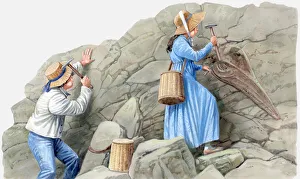 Illustration of two 19th Century children using hammers to remove fossils from rock Illustration of two 19th Century children using hammers to remove fossils from rock