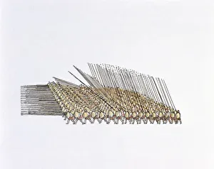 Illustration of Alexander the Greats infantry, marching in phalanx formation, holding spears and shields Illustration of Alexander the Greats infantry, marching in phalanx formation, holding spears and shields