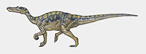 Illustration of Baryonyx saurischia dinosaur Illustration of Baryonyx saurischia dinosaur