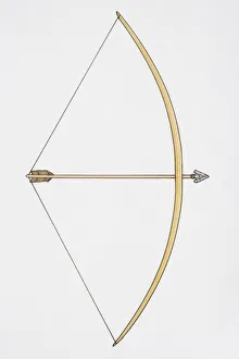 Bow and arrows sales