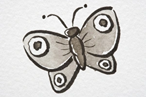 Illustration, Butterfly with eyespots on wings Illustration, Butterfly with eyespots on wings