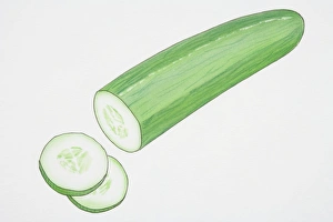 Illustration, Cucumber with two slices cut off Illustration, Cucumber with two slices cut off