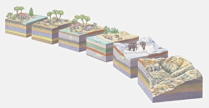 Illustration of the different stages of landform evolution and concurrent fossilization of a Triceratops dinosaur Illustration of the different stages of landform evolution and concurrent fossilization of a Triceratops dinosaur