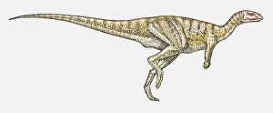 Illustration of Dryosaurus ornithopod dinosaur Illustration of Dryosaurus ornithopod dinosaur