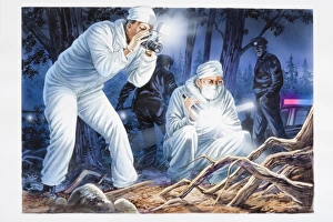 Illustration, two forensic officers in white boiler suits holding torch and taking photographs in forest location at Illustration, two forensic officers in white boiler suits holding torch and taking photographs in forest location at