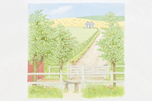 Illustration, fruit trees and wooden field gate by country path leading to secluded Illustration, fruit trees and wooden field gate by country path leading to secluded