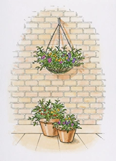Illustration of hanging basket on brick wall with potted plants on patio below Illustration of hanging basket on brick wall with potted plants on patio below