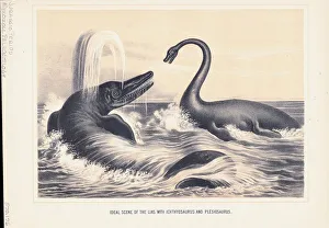 Illustration of Ichthyosaurus And Plesiosaurus Illustration of Ichthyosaurus And Plesiosaurus