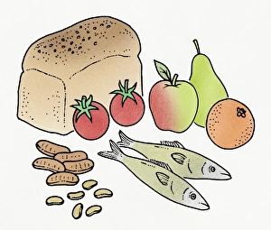 Illustration of ingredients for a balanced diet Illustration of ingredients for a balanced diet