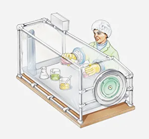 Illustration of laboratory worker handling radioactive materials through holes in a glass tank Illustration of laboratory worker handling radioactive materials through holes in a glass tank