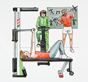 Illustration of people exercising in gym using strength training bench, exercise bike, and weightlifting Illustration of people exercising in gym using strength training bench, exercise bike, and weightlifting