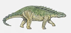 Illustration of Polacanthus ankylosaur dinosaur Illustration of Polacanthus ankylosaur dinosaur