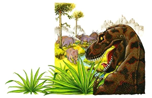 Illustration of predatory Tyrannosaurus Rex looking aggressively at herd of herbivorous ceratopsid Triceratops Illustration of predatory Tyrannosaurus Rex looking aggressively at herd of herbivorous ceratopsid Triceratops