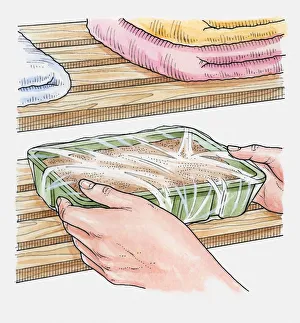 Illustration of putting seed tray covered with polythene in airing cupboard Illustration of putting seed tray covered with polythene in airing cupboard