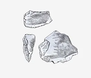 Illustration of quartz tools found in Matupi Cave, Zaire Illustration of quartz tools found in Matupi Cave, Zaire