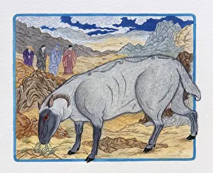 Illustration of Ram Respected by Others, representing Chinese Year Of The Ram Illustration of Ram Respected by Others, representing Chinese Year Of The Ram