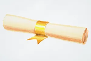 Illustration, rolled paper scroll tied with gold ribbon Illustration, rolled paper scroll tied with gold ribbon