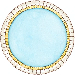 Illustration showing cross section of double layer of dinosaur cell membrane Illustration showing cross section of double layer of dinosaur cell membrane