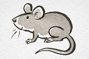 Illustration, smiling House Mouse (Mus musculus), side view Illustration, smiling House Mouse (Mus musculus), side view