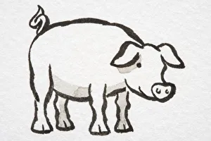 Illustration, smiling pig standing, side view Illustration, smiling pig standing, side view