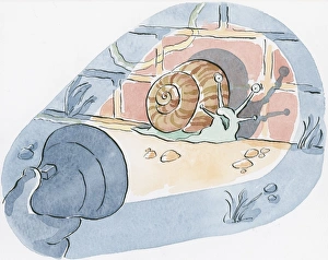 Illustration of snail against wall illuminated by torch Illustration of snail against wall illuminated by torch