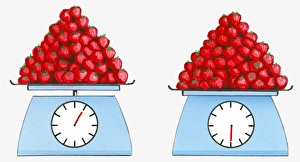 Illustration of same amount of strawberries on scales showing contrasting weights Illustration of same amount of strawberries on scales showing contrasting weights