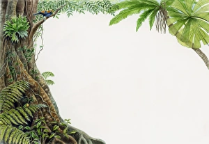 Illustration of tropical rainforest with bird perched on branch Illustration of tropical rainforest with bird perched on branch