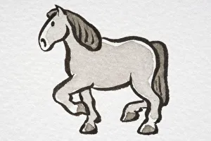 Illustration, trotting Horse (Equus caballus ), side view Illustration, trotting Horse (Equus caballus ), side view