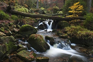 Ilse brook with rapids, Ilsefaelle waterfalls in autumn, Ilsetal valley, Harz region Ilse brook with rapids, Ilsefaelle waterfalls in autumn, Ilsetal valley, Harz region