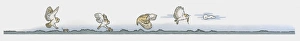 Image sequence illustration of Barn Owl (Tyto alba) hunting for mice at night Image sequence illustration of Barn Owl (Tyto alba) hunting for mice at night