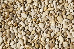 Daytime Exterior Shots Prints: Pebbles