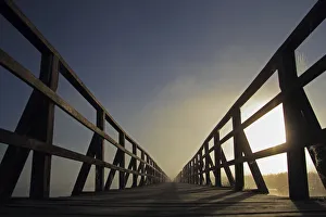 Jetty, walkway at Federsee lake, sunrise, early morning, nature reserve, near Bad Buchau, Biberach district Jetty, walkway at Federsee lake, sunrise, early morning, nature reserve, near Bad Buchau, Biberach district