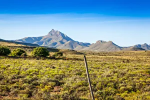 Karoo landscape, with mountains and unique fauna. Kompasberg mountain is in the background Karoo landscape, with mountains and unique fauna. Kompasberg mountain is in the background