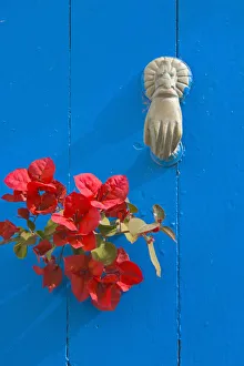 Knocker and flowers on blue door, Sidi Bou Said Knocker and flowers on blue door, Sidi Bou Said