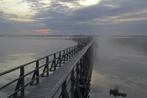 Lake Federsee boardwalk, morning mood, nature reserve, Upper Swabia, Baden-Wuerttemberg, Germany, Europe Lake Federsee boardwalk, morning mood, nature reserve, Upper Swabia, Baden-Wuerttemberg, Germany, Europe