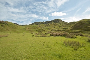 Landscape with green hills, Coromandel, Coromandel Peninsula, North Island, New Zealand Landscape with green hills, Coromandel, Coromandel Peninsula, North Island, New Zealand