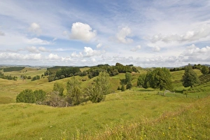 Landscape with hilly meadows, Coromandel, Coromandel Peninsula, North Island, New Zealand Landscape with hilly meadows, Coromandel, Coromandel Peninsula, North Island, New Zealand