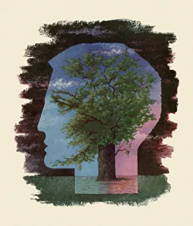 Large Tree in the Silhouette of a Mans Head Large Tree in the Silhouette of a Mans Head