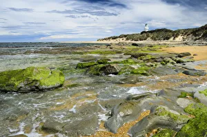 Lighthouse at Waipapa Point with clouds in the sky, algae covered rocks at the front, Otara, Fortrose, Southland Region Lighthouse at Waipapa Point with clouds in the sky, algae covered rocks at the front, Otara, Fortrose, Southland Region