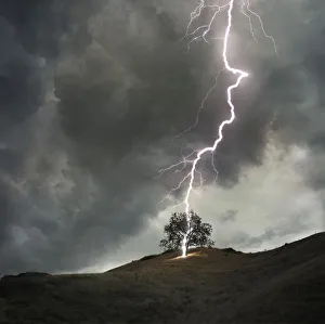 Lightning striking a lone tree during stormy weather Lightning striking a lone tree during stormy weather