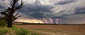 Lightning Thunderstorm at Sunset with Multiple Forked Lightning Strikes, Magaliesburg, Gauteng Province, South Africa Lightning Thunderstorm at Sunset with Multiple Forked Lightning Strikes, Magaliesburg, Gauteng Province, South Africa
